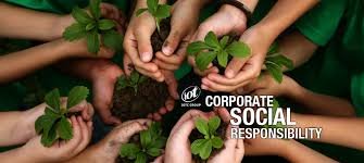 social responsibility and sustainability