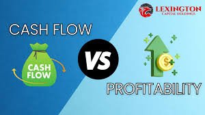 Cash Flow vs. Capital